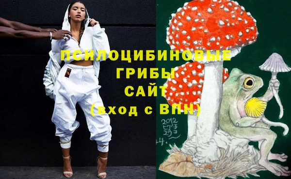 прущие грибы Абинск