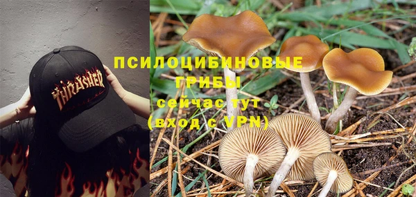 спиды Абаза