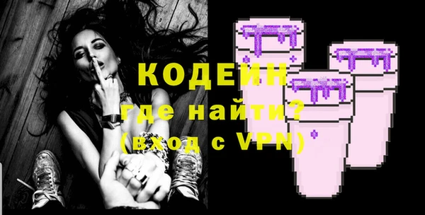 гашик Няндома