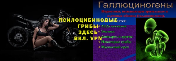 спиды Абаза