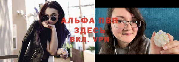 прущие грибы Абинск