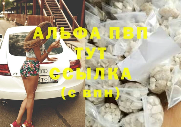 прущие грибы Абинск