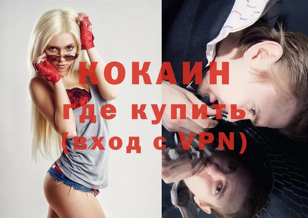 гашик Няндома