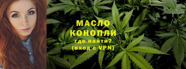 гашик Няндома