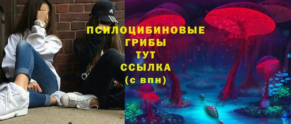 шишки Абдулино